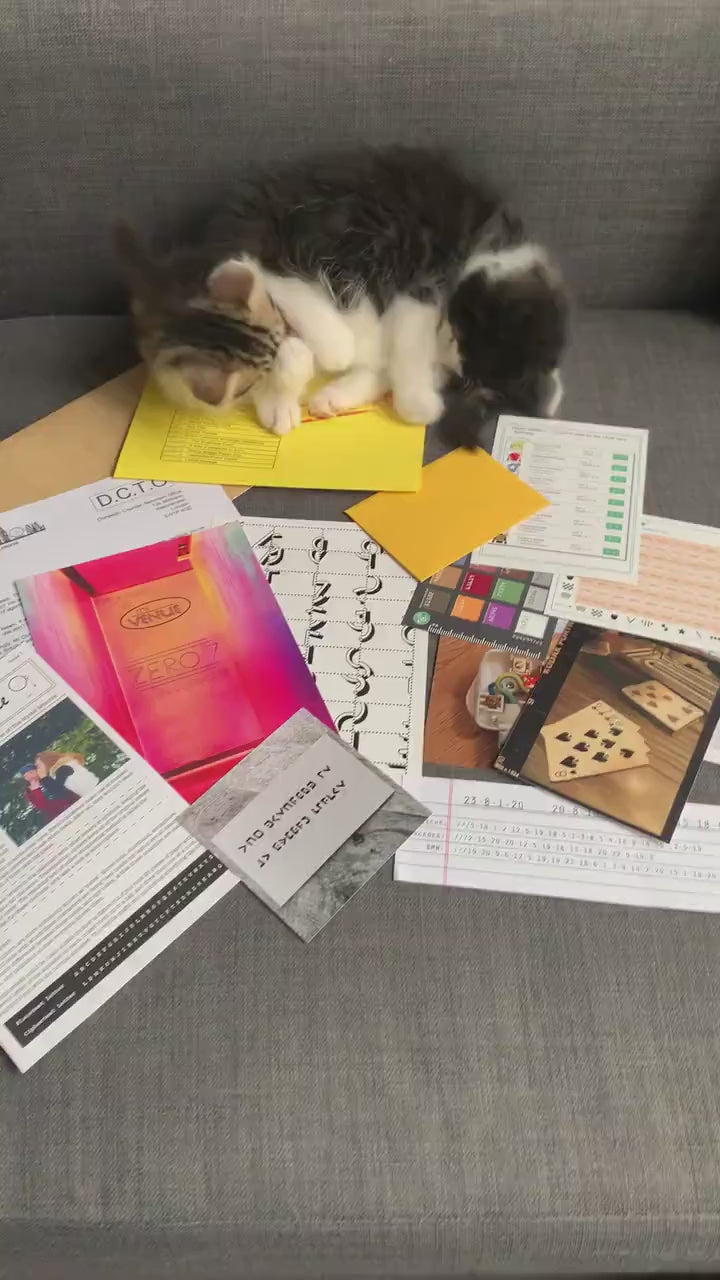 Escape room cat puzzle hot sale